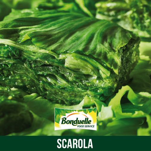 1bon49-scarola-millefoglie-1kg.png 1bon49-scarola-millefoglie-1kg.png
