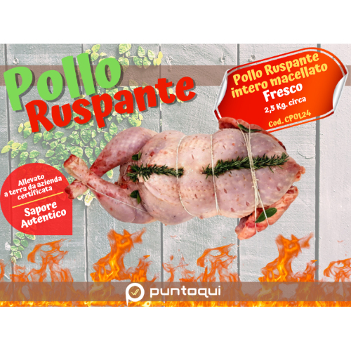 cpol24-pollo-ruspante-intero-25kg.jpg cpol24-pollo-ruspante-intero-25kg.jpg