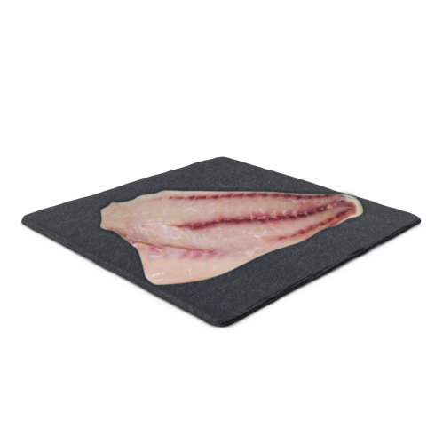 fom25-filetto-ombrina-1.png fom25-filetto-ombrina-1.png