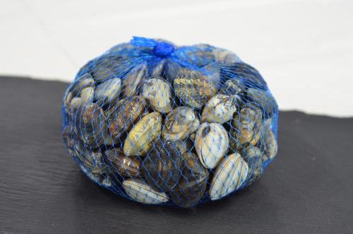 luosh Set di Strumenti di Frutti di Mare 2 Pezzi Set di Strumenti di Apertura di Frutti di Mare a Forma di Pinza di Granchio di ostrica di ostriche 