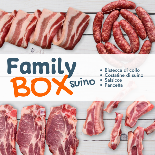 grigliamo-box-3.png grigliamo-box-3.png