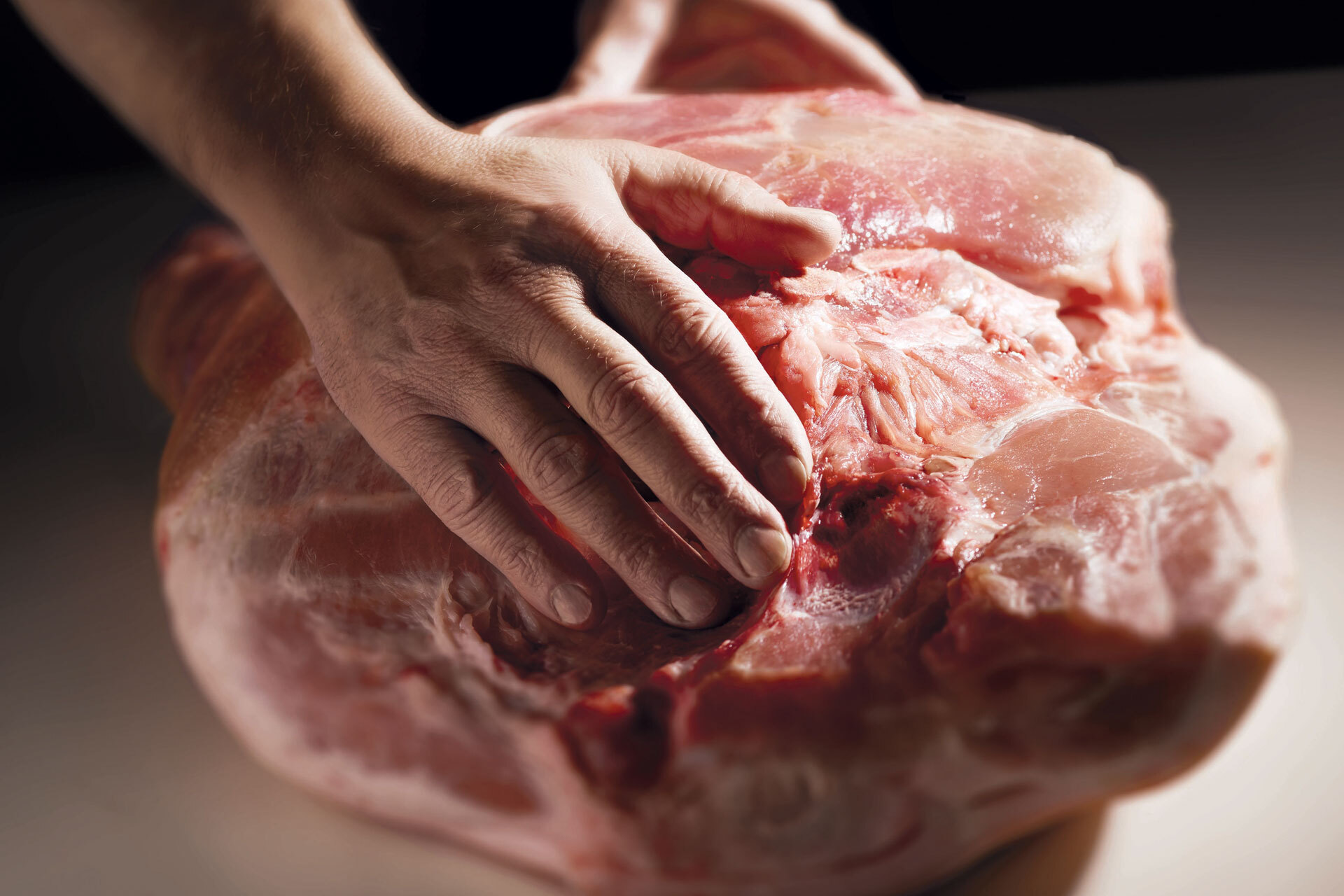 mani-carne-cover.jpg mani-carne-cover.jpg
