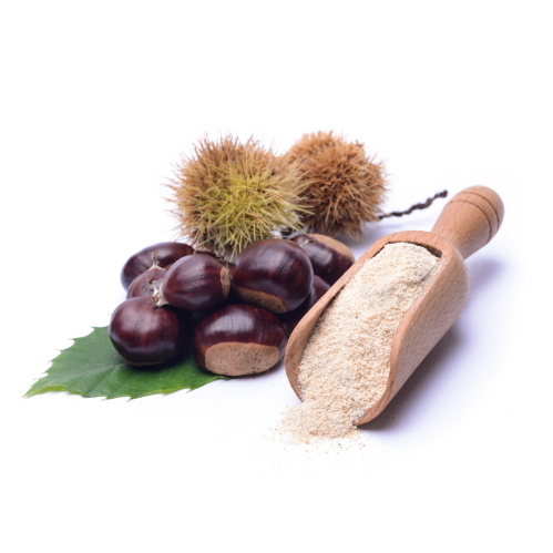 mcast1-farina-di-castagne-500gr.png