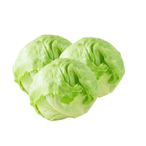 orto1-iceberg-1kg.png orto1-iceberg-1kg.png