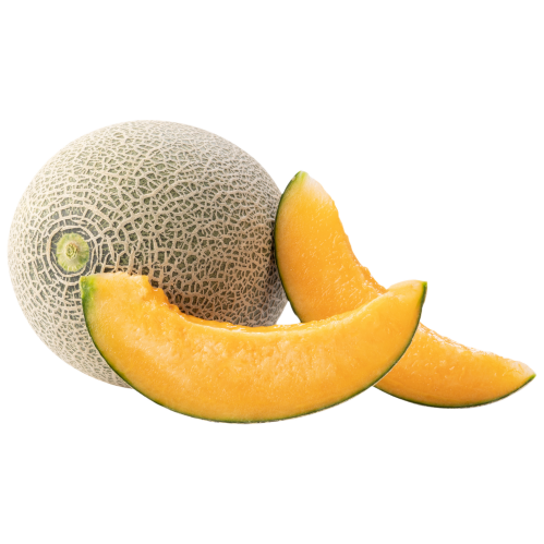 orto12a-melone-retato.png orto12a-melone-retato.png