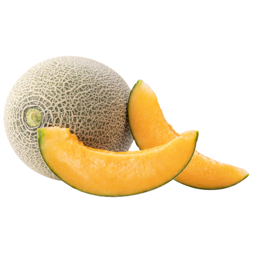 orto12a-melone-retato.png