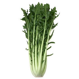 orto1c.jpg orto1c.jpg