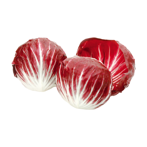 orto1g-radicchio-rosso-tondo.png orto1g-radicchio-rosso-tondo.png