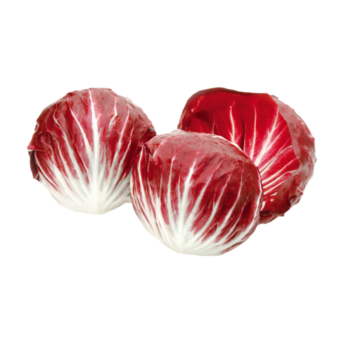 orto1g-radicchio-rosso-tondo.png