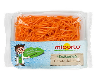 orto51c2.jpg orto51c2.jpg