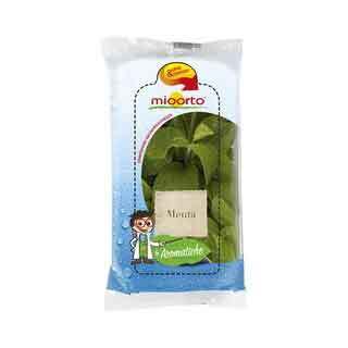 orto67-menta-20g-4a-gamma.jpg orto67-menta-20g-4a-gamma.jpg
