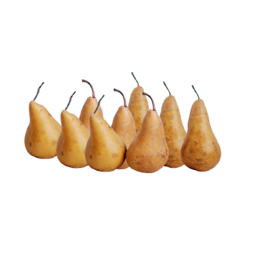 orto9g2-pere-abate-kg1.png orto9g2-pere-abate-kg1.png