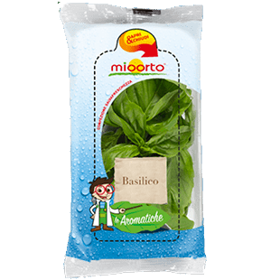 orto9l1-basilico-fresco-cfz-30g.png orto9l1-basilico-fresco-cfz-30g.png