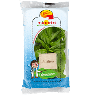 BASILICO FRESCO CFZ 30g