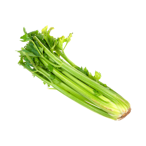 orto9r-sedano-italia.png orto9r-sedano-italia.png
