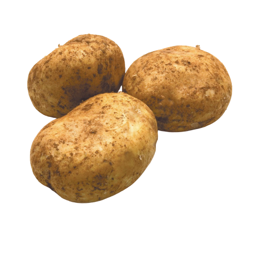 potato-brushed-b296eb34-4f8d-4183-b98e-ba7fd9b0f609-1024x1024-removebg-preview.png