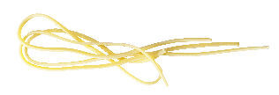 ppas4a-tagliolini.jpg ppas4a-tagliolini.jpg