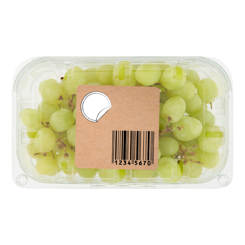 progetto-senza-titolo-74.png progetto-senza-titolo-74.png